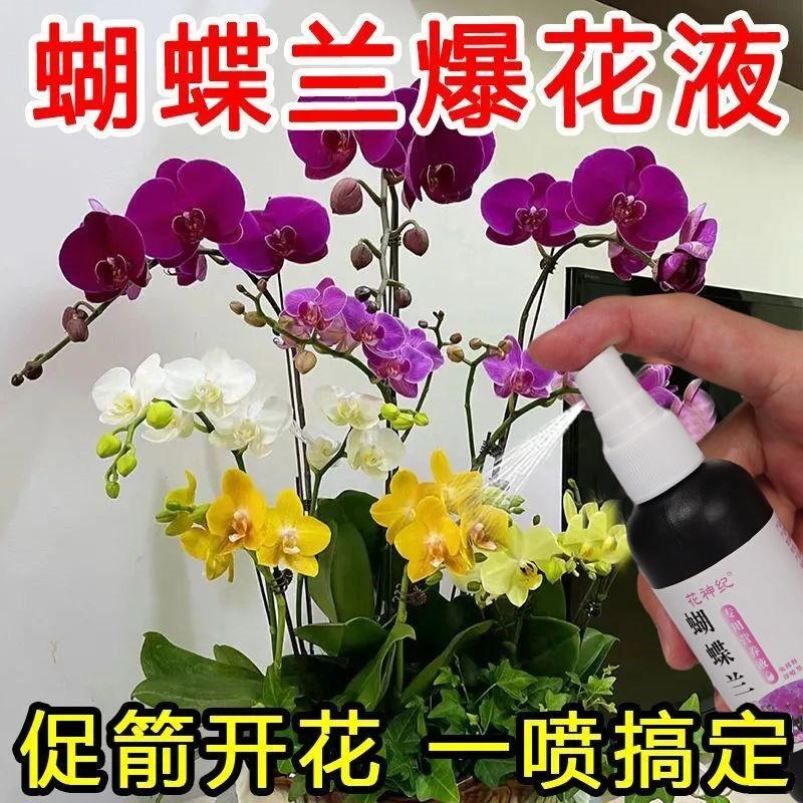 【爆箭王】蝴蝶兰营养液爆箭促开花烂根黄叶防病害专用肥料