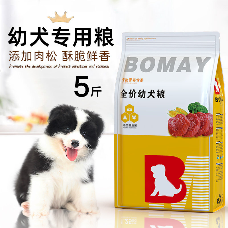 刚满月小奶狗吃的狗粮1一2月边牧