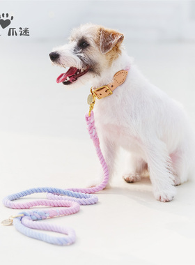 pawsholic爪迷狗狗项圈脖圈牵引绳防丢失斗牛中大型犬手工编织P绳