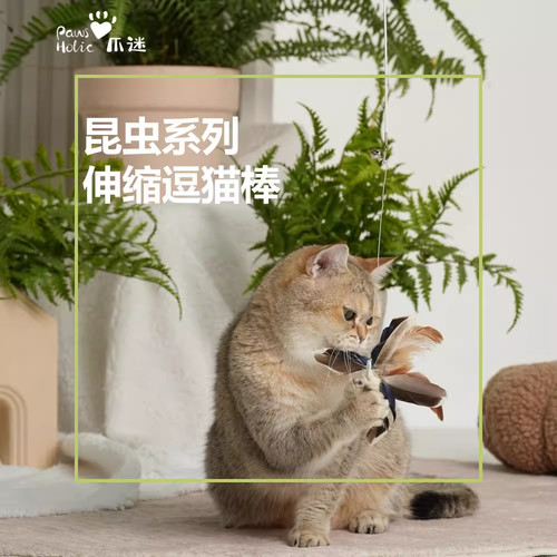 爪迷逗猫棒仿真昆虫长杆