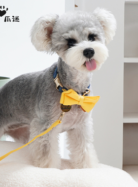 pawsholic爪迷狗狗项圈领结蝴蝶结牵引脖圈中小型犬泰迪狗牵引绳
