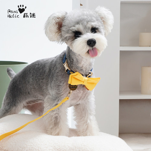 狗狗进口印花低敏亲肤蝴蝶结项圈