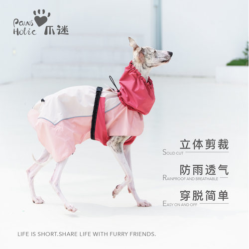 狗狗快穿雨衣户外冲锋衣