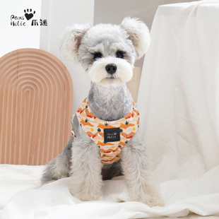 胸背带中小型犬遛狗绳户外 PawsHolic爪迷狗狗牵引绳宠物背心式