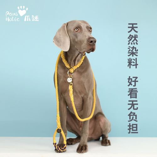pawsholic爪迷狗狗p型中大型犬
