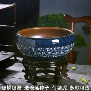 碗莲盆荷花专用陶瓷养鱼阳台铜钱