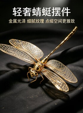 黄铜实心蜻蜓立体摆件！