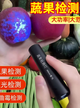 德国紫光灯鉴定疏菜检蓝矾蓝光波尔多液荧光剂365nm紫外线检测灯