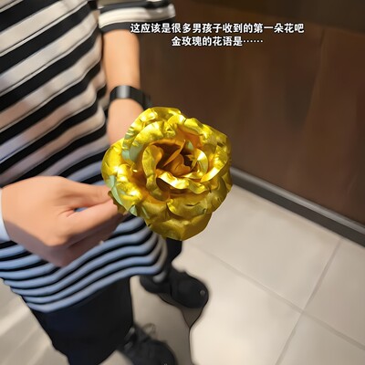 三角洲行动周边红狼蚀金玫瑰游戏非洲之心模型非洲之星钻石道具