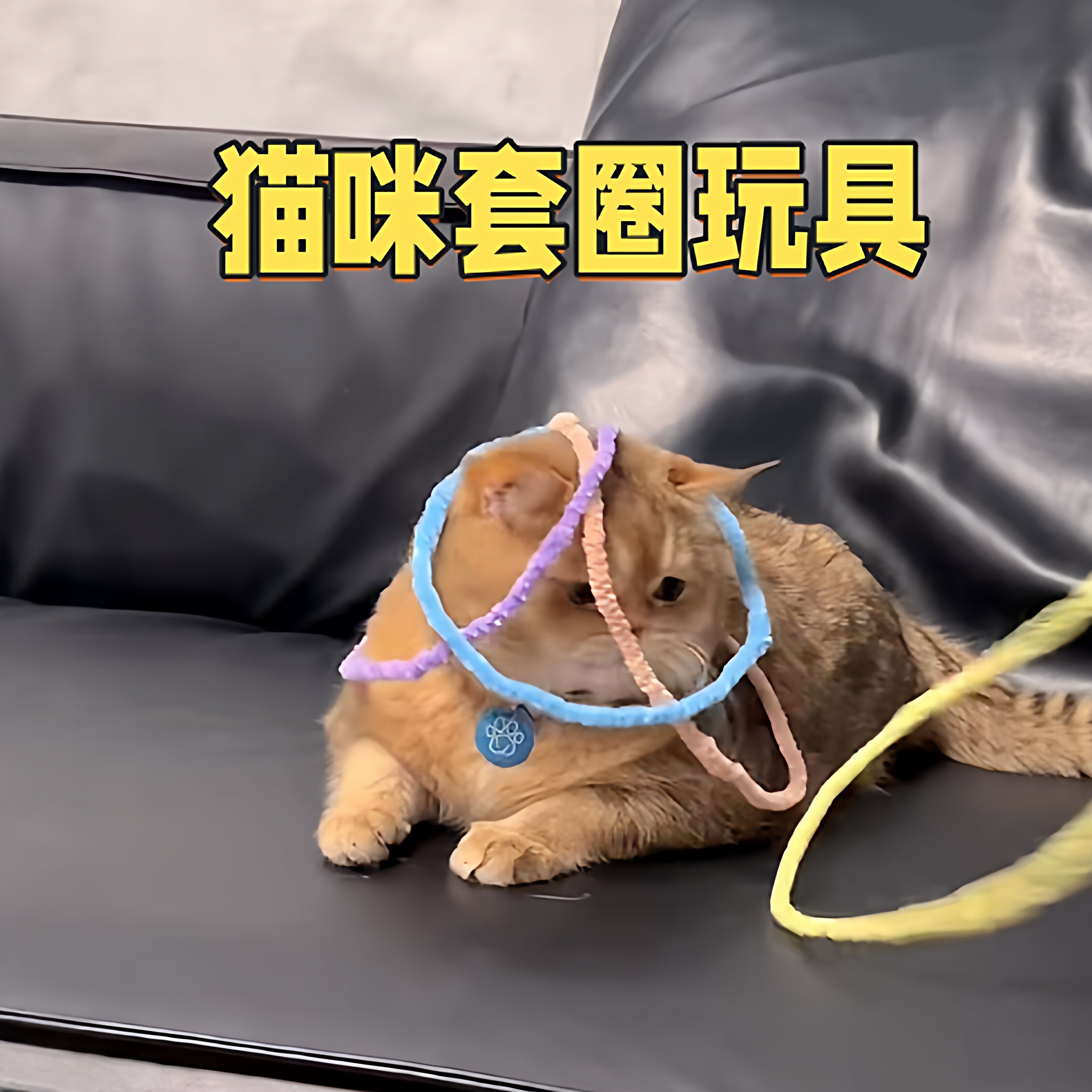 diy套圈猫咪玩具逗猫互动神器手工扭扭棒材料包超轻宠物游戏道具