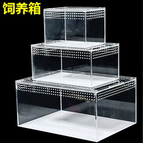 爬宠亚克力饲养盒寄居蟹角箱蛙蜘蛛守宫蜥蜴宠物蛇乌龟爬虫生态缸