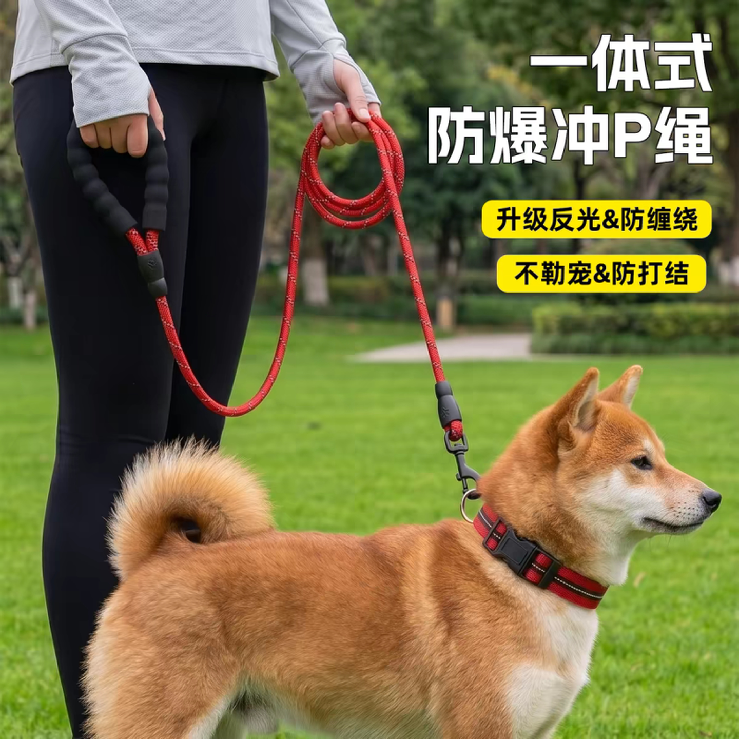 p绳大型犬狗狗牵引绳子遛狗牵引带泰迪金毛宠物中小型犬狗链项圈