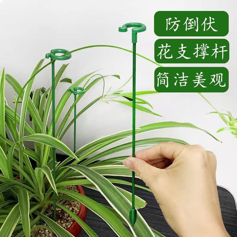 园艺绑花支架防倒植物支撑杆花枝固定器花草花支撑架花卉扶正绿植