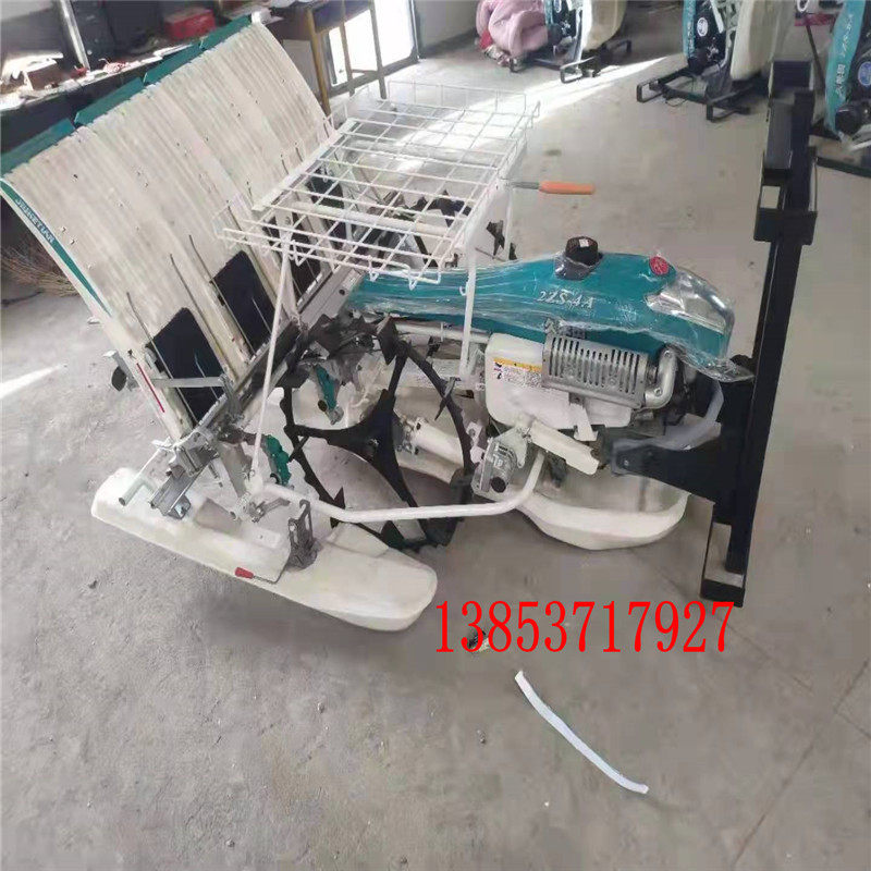 水稻插秧机农业高低速六行乘坐式水田种植机柴油机 插苗机