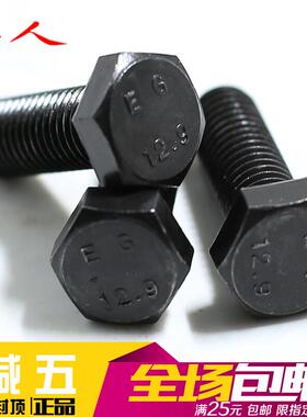 华人M6M8M10M1212.9级外六角螺丝高强度六角螺栓合金钢螺丝M12*70