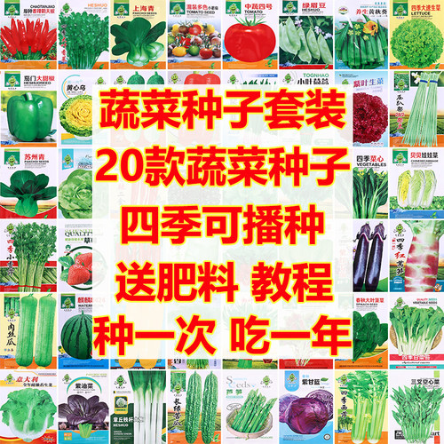 蔬菜种子大全四季播种发芽率高