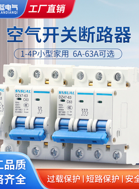 空气开关DZ47家用空开1P小型断路器220V短路保护器2P总闸 63A C45