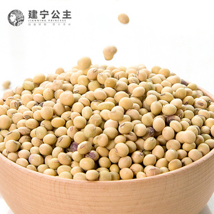 建宁公主 黄豆 农家自种豆浆豆五谷杂粮豆子可发豆芽黄豆500g