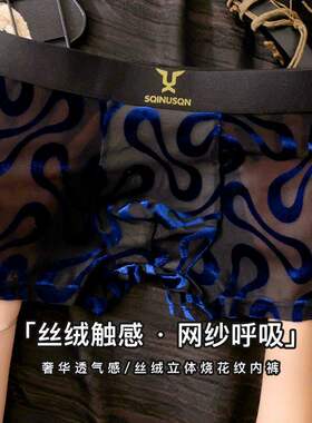 男士内裤子网纱潮男性感中腰平角裤7A抗菌青年男生四角裤衩短裤底