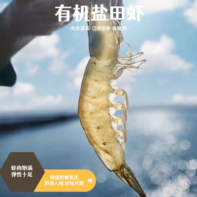有机盐田虾肉质紧实口感Q弹香嫩鲜而400g*3盒速冻虾