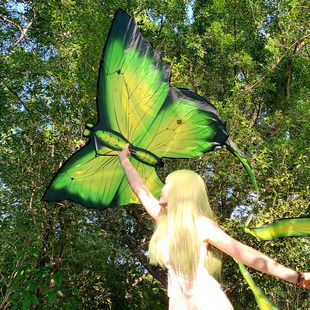 2026新款蝴蝶风筝大人专用手持纸鸢微风易飞春游露营氛围拍照神器