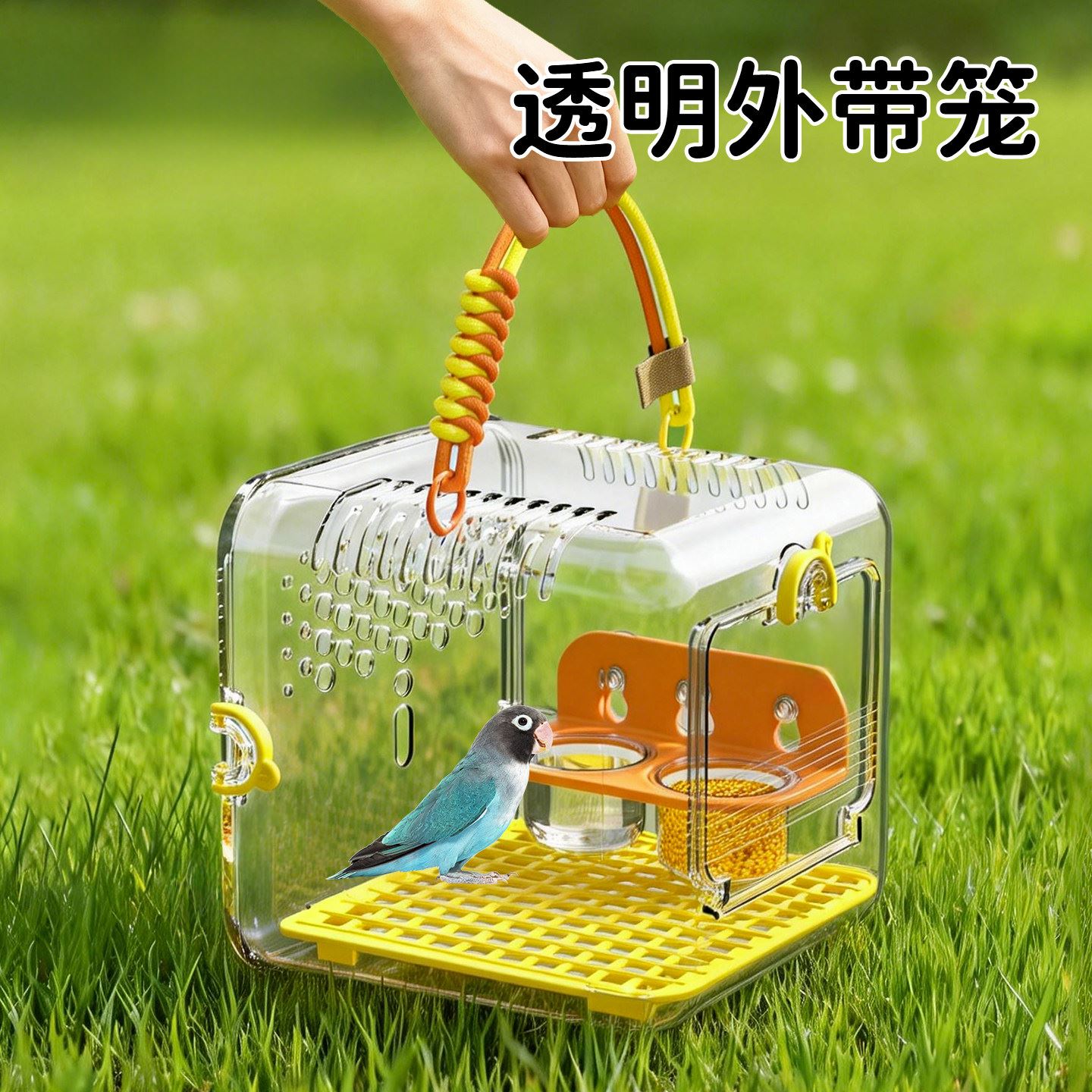 鹦鹉外带笼便捷户外透明鸟笼牡丹玄凤小太阳专用外出观赏手提笼鸟