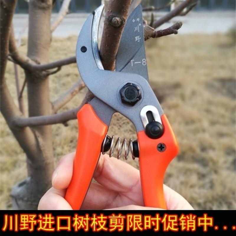 包邮高碳钢修枝剪粗枝剪园艺剪刀整枝花枝剪树枝摘果剪园林工具_虎窝淘