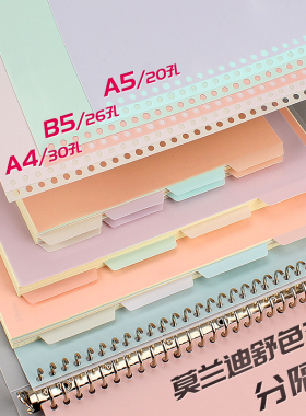 文谷4色装分页纸A5活页本20孔索引页B5线圈装订条26孔隔页纸分类a4笔记本30孔分隔页板索引标签卡彩色塑料片