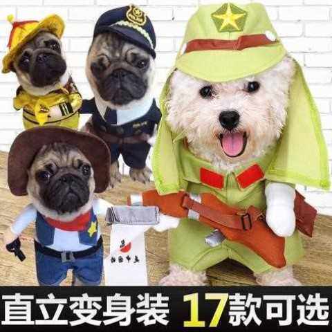 抖音同款猫狗穿熊猫装的狗狗站立装熊猫衣服小白狗穿上熊猫衣服潮