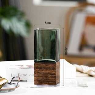 放银柳的花瓶鲜枝适合家庭插花的大口专用富贵竹养雪柳干枝玻璃u.