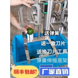 新会柑开皮机器 陈皮开皮机 开柑皮器开柑皮机精密不锈钢开皮机器