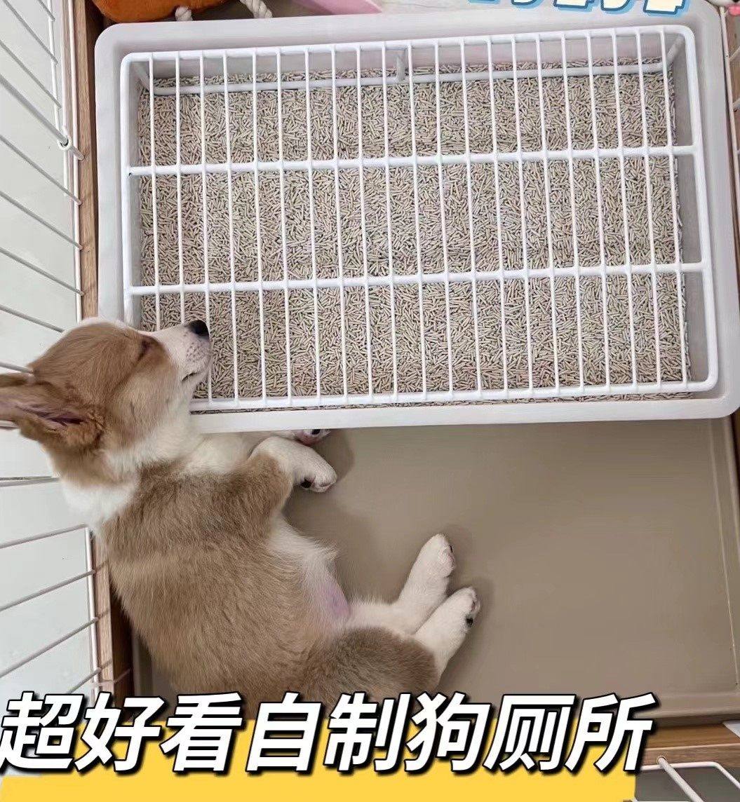 狗厕所加高架子防踩屎定做便盆中小型犬厕所不粘脚自制宠物厕所