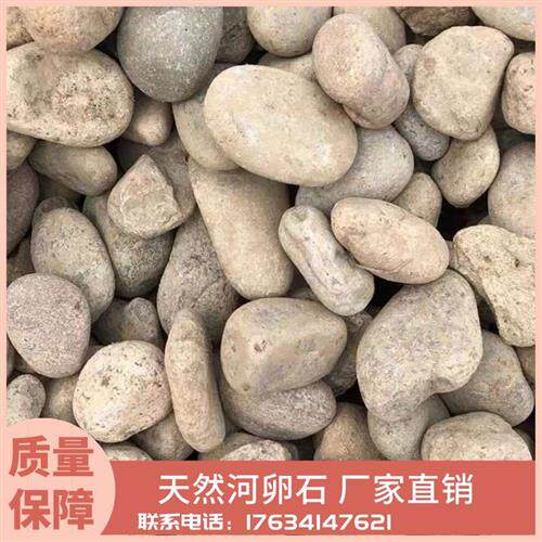 山西厂家河卵石天然河滩石大鹅卵石庭院景观河湜池塘驳岸石河卵石
