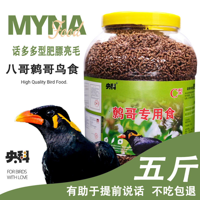 鹩哥食饲料抗拉稀亮毛肥膘抗病洛阳中科鹩哥养殖场生产