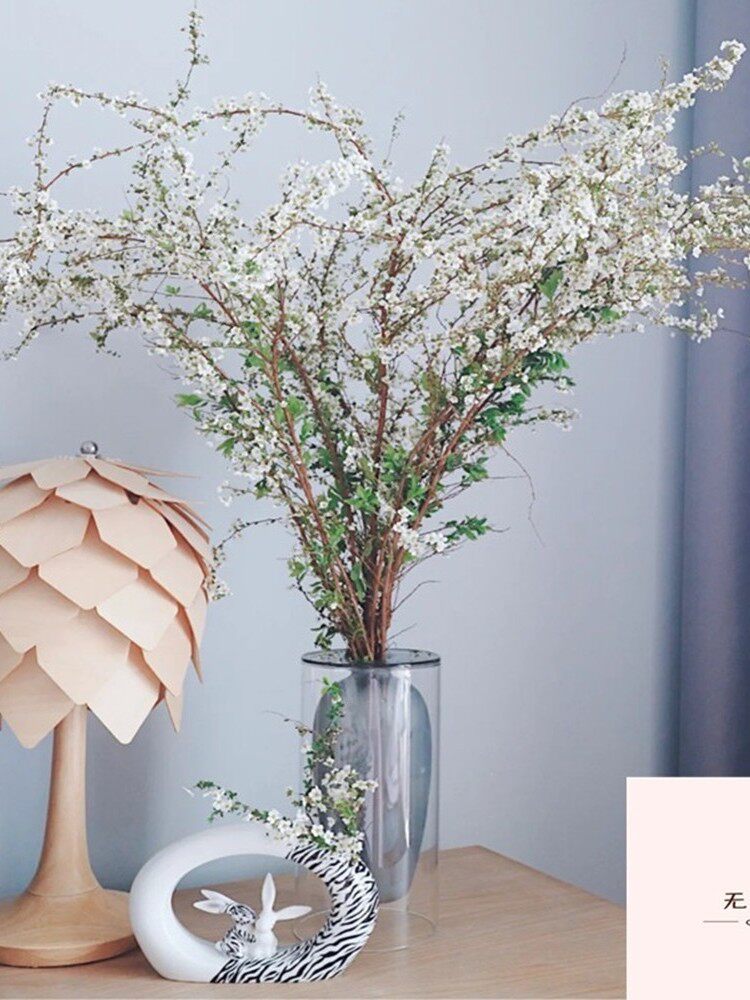 干支雪柳鲜枝干枝泡水开花水培植物马醉木腊梅鲜花龙柳桃花鲜切花