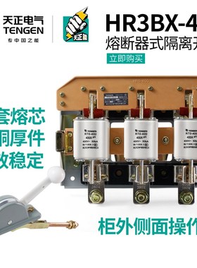 天正HR3BX-400/32 34熔断x器式隔离开关P配电柜RT0-400A闸刀熔开