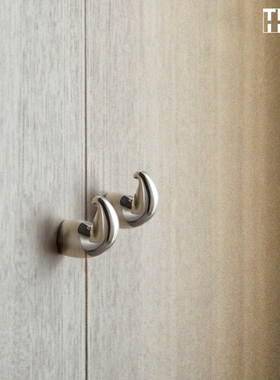 与王大力.同那TONA 钛银色衣柜把手抽屉拉手黄铜新中式复古小拉手