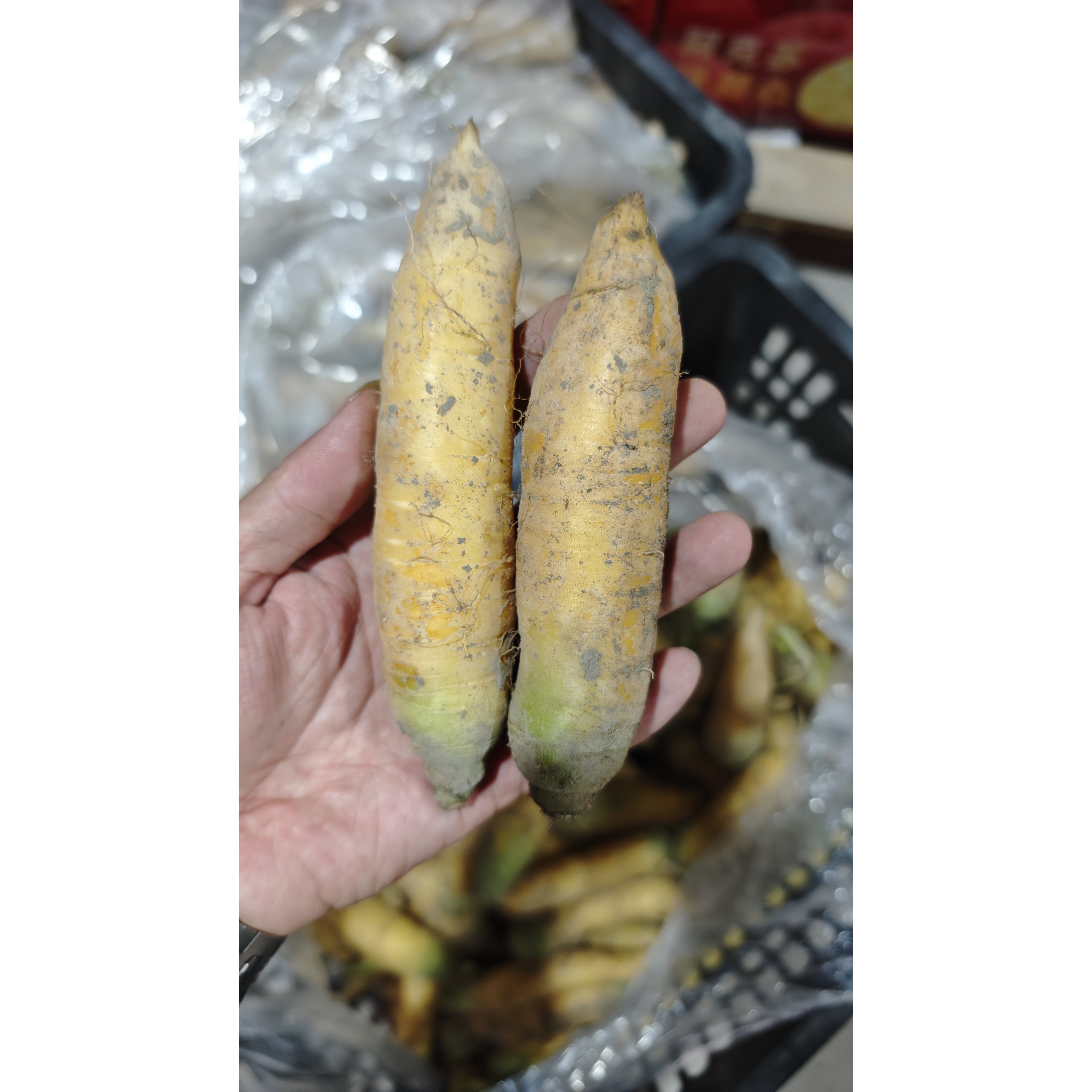 胡萝卜新疆小黄萝卜当季蔬菜黄胡萝卜脆甜爽口手抓饭配菜生吃,水产肉类/新鲜蔬果/熟食,萝卜/胡萝卜,淘宝优惠券,粉丝福利购,淘宝优惠卷