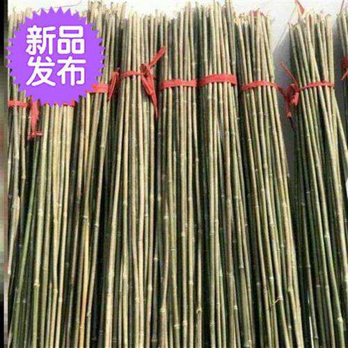 竹条葡萄架架杆草坪种植大棚竹围栏豆角小竹子细n竹竿种菜菜园搭