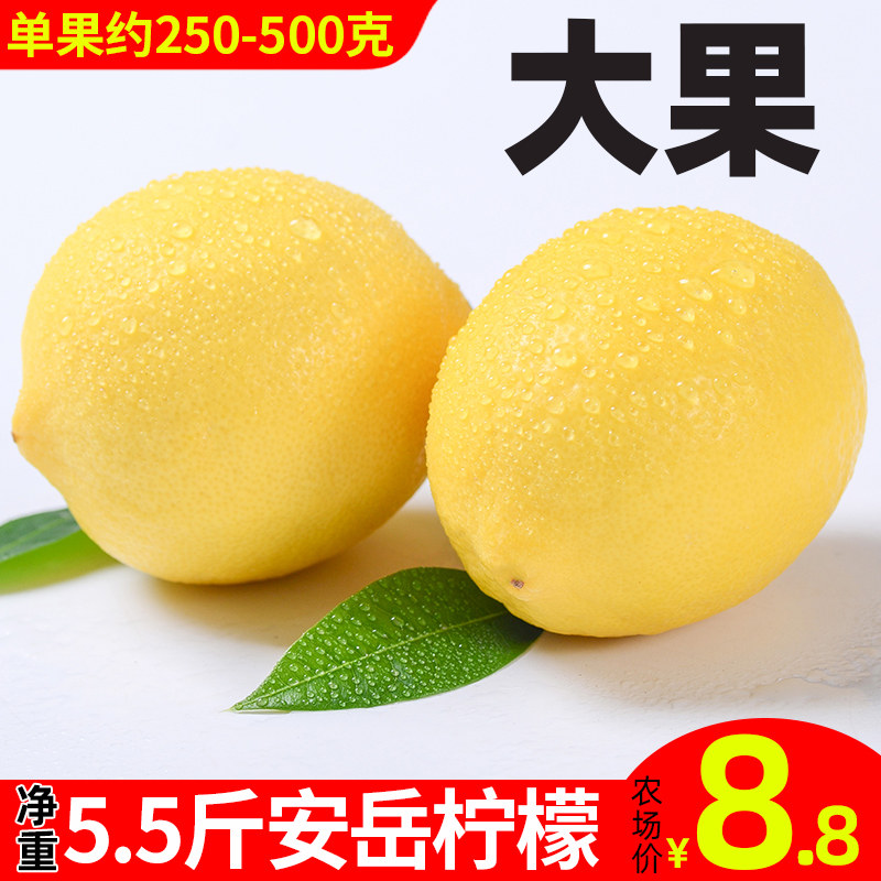 Large fruit 5.5 Net weight Anyue Yellow Lemon fresh Thin Should fruit Refreshing fragrance Kumquatin the Aquatic meat/Fresh fruits and vegetables/Cooked , Fresh fruit , Lemon  category - from Buy2taobao.com to provide professional Taobao agent buy service