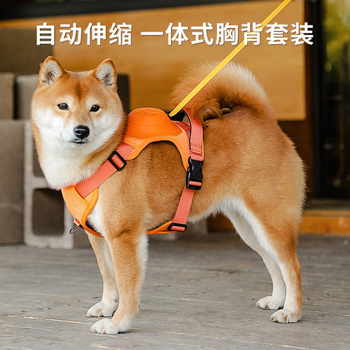 （清仓特价）狗狗牵引绳自动伸缩背心式防挣脱遛狗绳中小型犬外出