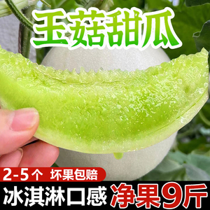 正宗海南冰淇淋玉菇甜瓜新鲜水果10斤整箱包邮哈密当季白玉5蜜瓜