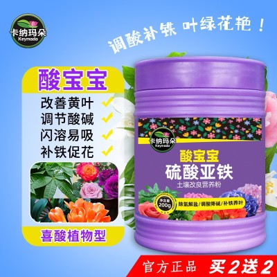 卡纳玛朵酸宝宝硫酸亚铁买2送1