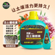 卡纳玛朵活土爆根素生根液植物通用型扦插移栽花卉月季 多肉营养液