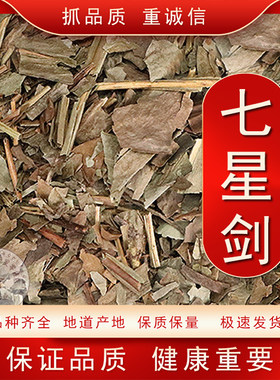 七星剑中药材 七星草小叶骨牌草 丹瓦剑草干品野生中草药