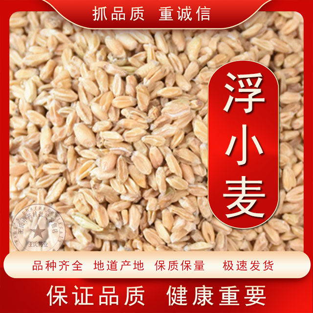 中药材 浮小麦 小麦浮小麦 浮小麦茶 干瘪小麦500克包邮