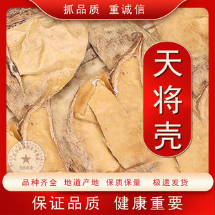 天浆壳罗摩壳天将壳野生中药材新货无硫天降壳萝摩荚哈喇瓢赖瓜瓢