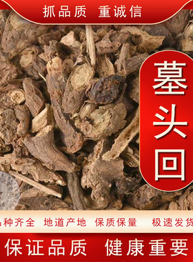 中药材 墓头回 墓回头 追风箭 墓头灰 木头回