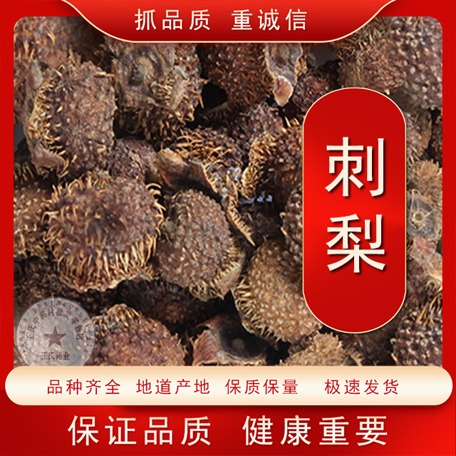 贵州刺梨特产级野生刺梨大果子泡茶泡酒去黄美白刺梨干刺梨果