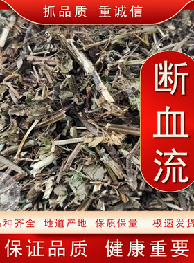 断血流  灯笼草 荫风轮 九层塔 风轮菜中药材500g